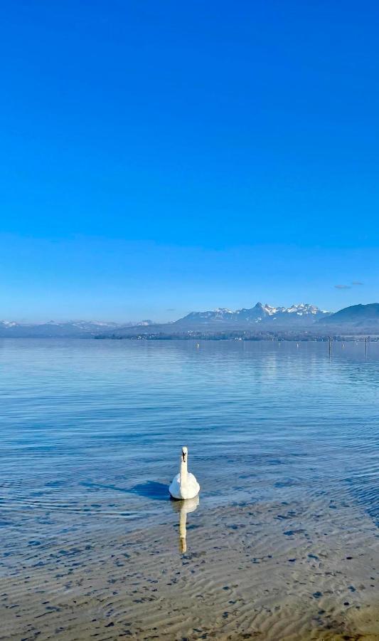 Apartment Le Leman Excenevex